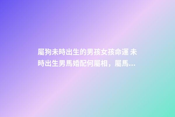 屬狗未時出生的男孩女孩命運 未時出生男馬婚配何屬相，屬馬男和什么屬相最配-第1張-觀點-玄機派